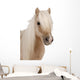Shetland Pony Wall Decal