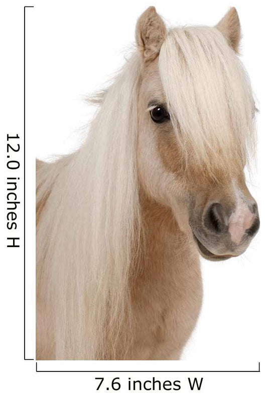 Shetland Pony Wall Decal