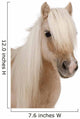 Shetland Pony Wall Decal