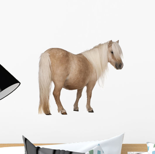 Palomino Shetland Pony Equus Wall Decal