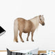 Palomino Shetland Pony Equus Wall Decal
