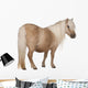 Palomino Shetland Pony Equus Wall Decal