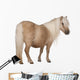 Palomino Shetland Pony Equus Wall Decal