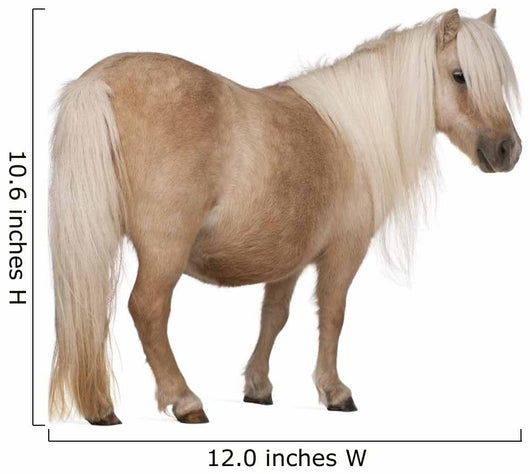 Palomino Shetland Pony Equus Wall Decal