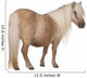 Palomino Shetland Pony Equus Wall Decal