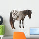 Appaloosa Miniature Horse Wall Decal