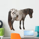 Appaloosa Miniature Horse Wall Decal