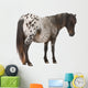 Appaloosa Miniature Horse Wall Decal