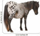 Appaloosa Miniature Horse Wall Decal