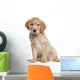 Golden Retriever puppy Wall Decal