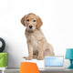 Golden Retriever puppy Wall Decal