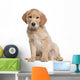 Golden Retriever puppy Wall Decal