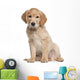 Golden Retriever puppy Wall Decal