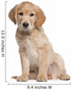 Golden Retriever puppy Wall Decal