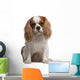 Cavalier King Charles Spaniel Wall Decal
