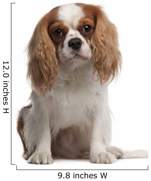 Cavalier King Charles Spaniel Wall Decal