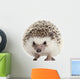 Pet Decals - Four-toed Hedgehog, Atelerix albiventris, 2 years old Wall Decal