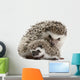 Four-Toed Hedgehogs Atelerix Albiventris 3 Weeks Old Wall Decal