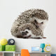 Four-Toed Hedgehogs Atelerix Albiventris 3 Weeks Old Wall Decal