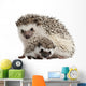 Pet Decals - Four-toed Hedgehogs, Atelerix albiventris Wall Decal