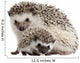 Pet Decals - Four-toed Hedgehogs, Atelerix albiventris Wall Decal