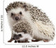 Four-toed Hedgehogs Atelerix Albiventris Wall Decal