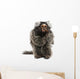 Marmoset Callithrix Jacchus Eating Worm Wall Decal