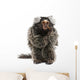 Marmoset Callithrix Jacchus Eating Worm Wall Decal