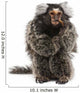 Marmoset Callithrix Jacchus Eating Worm Wall Decal