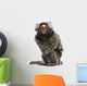 Common Marmoset Wall Decal