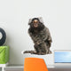 Common Marmoset Wall Decal