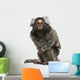 Common Marmoset Wall Decal