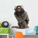 Common Marmoset Wall Decal