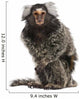 Common Marmoset Wall Decal