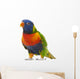 Rainbow Lorikeet Trichoglossus Haematodus 3 Years Old Wall Decal