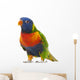 Rainbow Lorikeet Trichoglossus Haematodus 3 Years Old Wall Decal