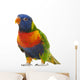 Rainbow Lorikeet Trichoglossus Haematodus 3 Years Old Wall Decal