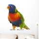 Rainbow Lorikeet Trichoglossus Haematodus 3 Years Old Wall Decal