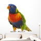 Rainbow Lorikeet Trichoglossus Haematodus 3 Years Old Wall Decal