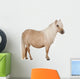 Palomino Shetland Pony Equus