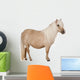 Palomino Shetland Pony Equus