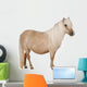 Palomino Shetland Pony Equus
