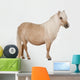 Palomino Shetland Pony Equus