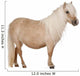 Palomino Shetland Pony Equus