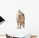 Palomino Shetland Pony Standing Wall Decal
