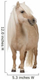 Palomino Shetland Pony Standing Wall Decal