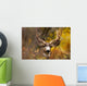 Deer During Fall Wall Mural