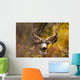 Deer During Fall Wall Mural