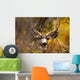 Deer During Fall Wall Mural