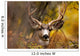 Deer During Fall Wall Mural